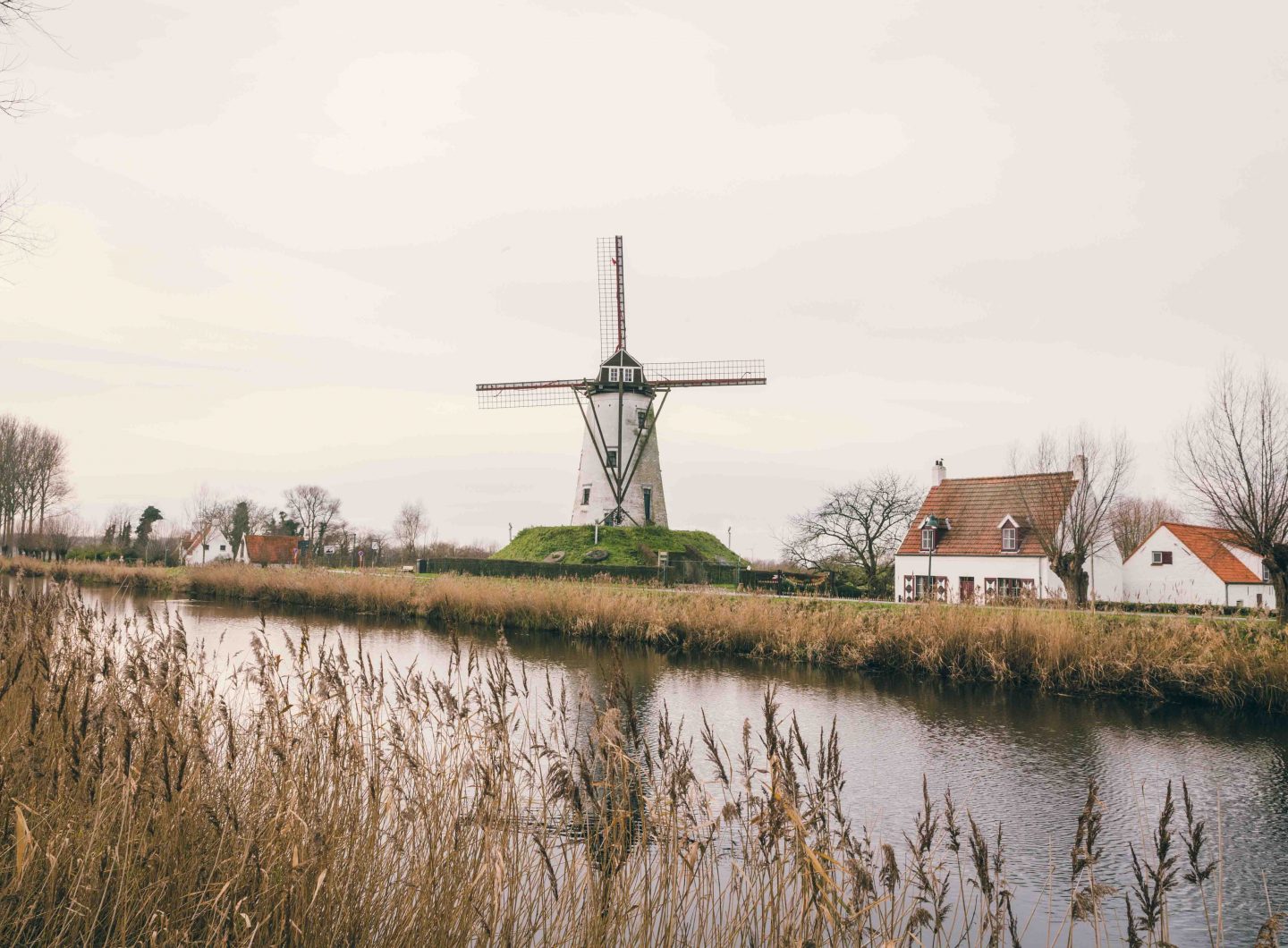 Brugge fotografie fietsroute molen Damme Sacha Jennis in opdracht Le Monde